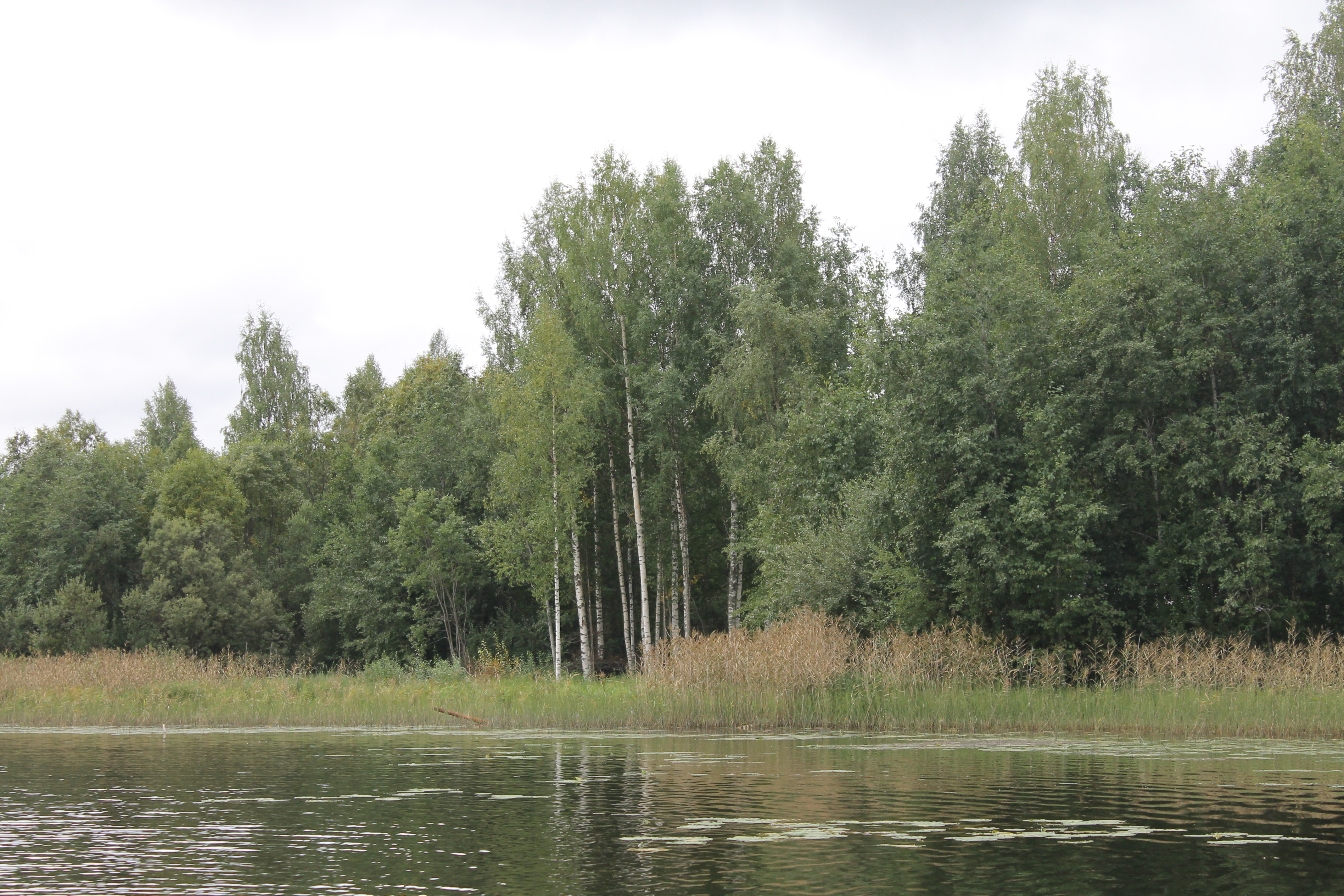 Фото У плотника