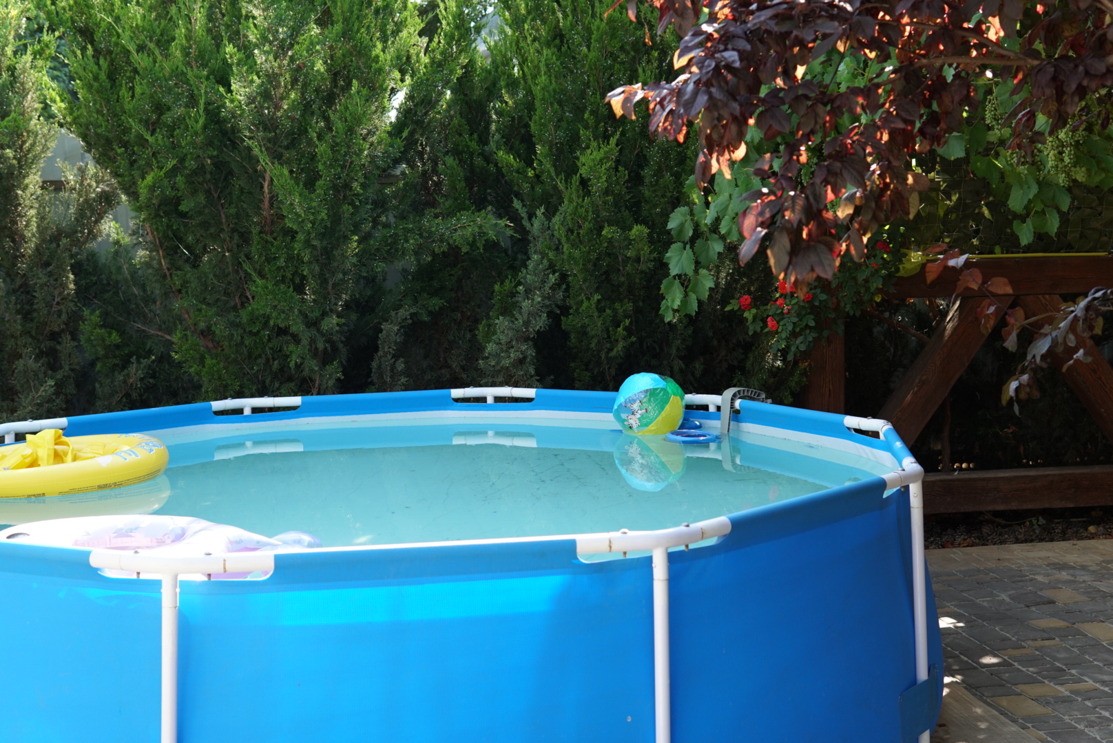 Фото Наталья