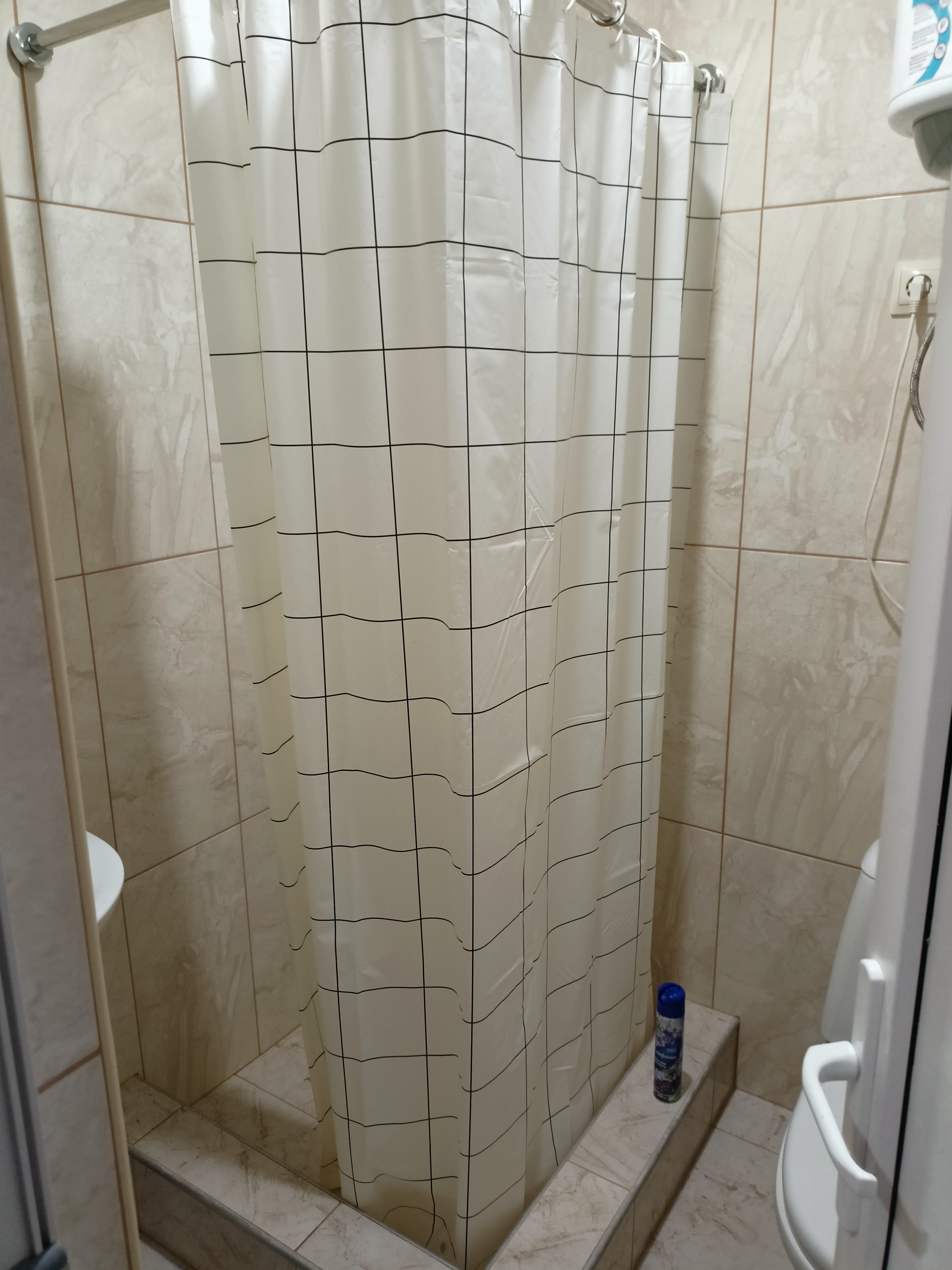 Фото Лаванда