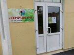 Semitsvetik (Vorobyovskaya Street, 16А), children's developmental center