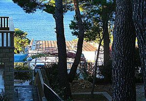 Apartment Vese - 200 m from beach: A4 Brela, Riviera Makarska