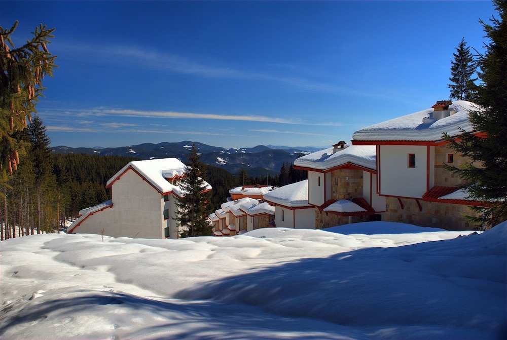 Фото Отель Forest Glade