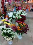 Flower shop (prospekt Lenina, 79), flower shop