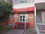 RedBus (ул. Молокова, 50, Красноярск), курсы иностранных языков в Красноярске