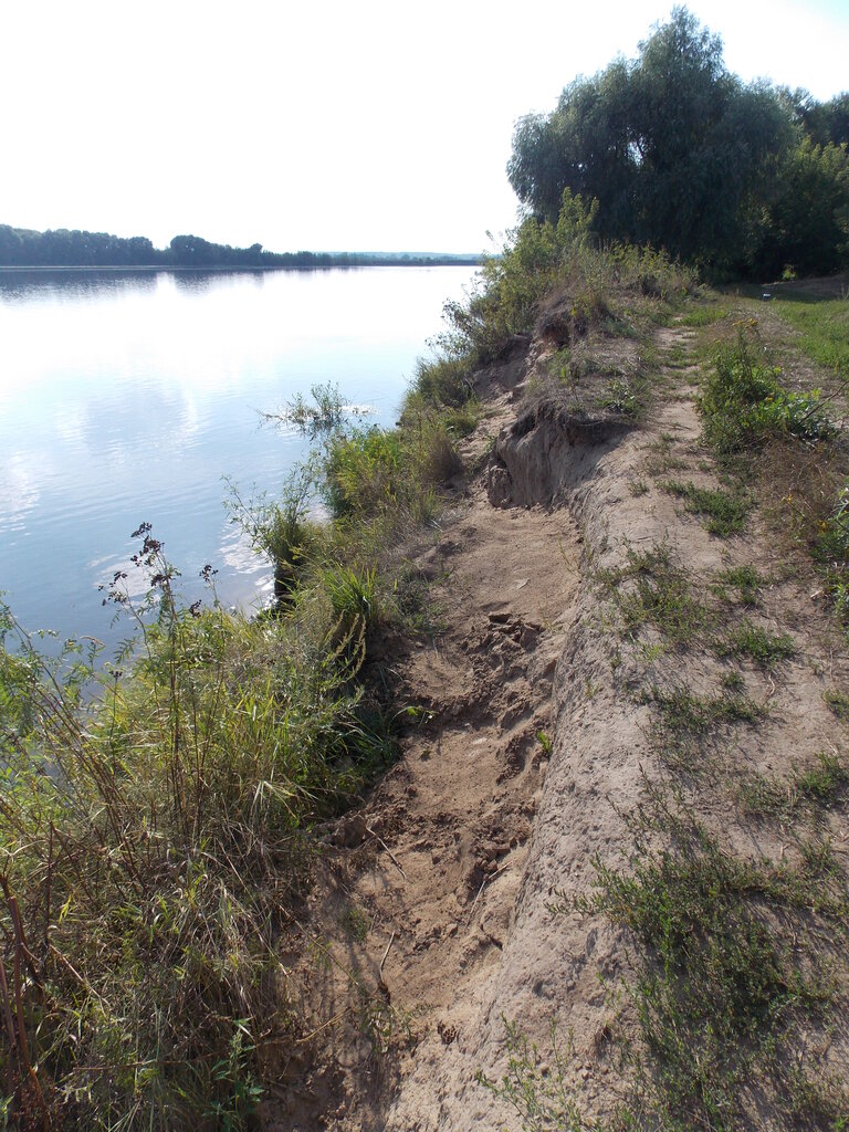 Beach Пляж, Moscow and Moscow Oblast, photo