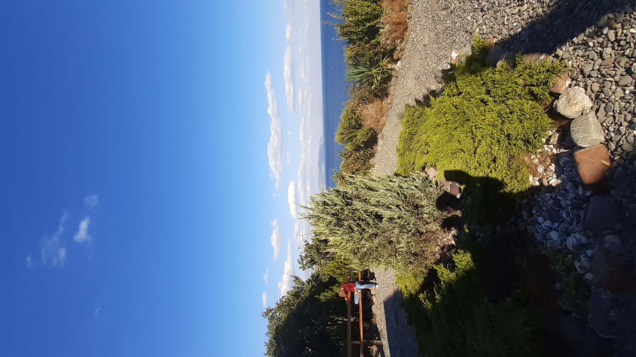 Фото Афалина