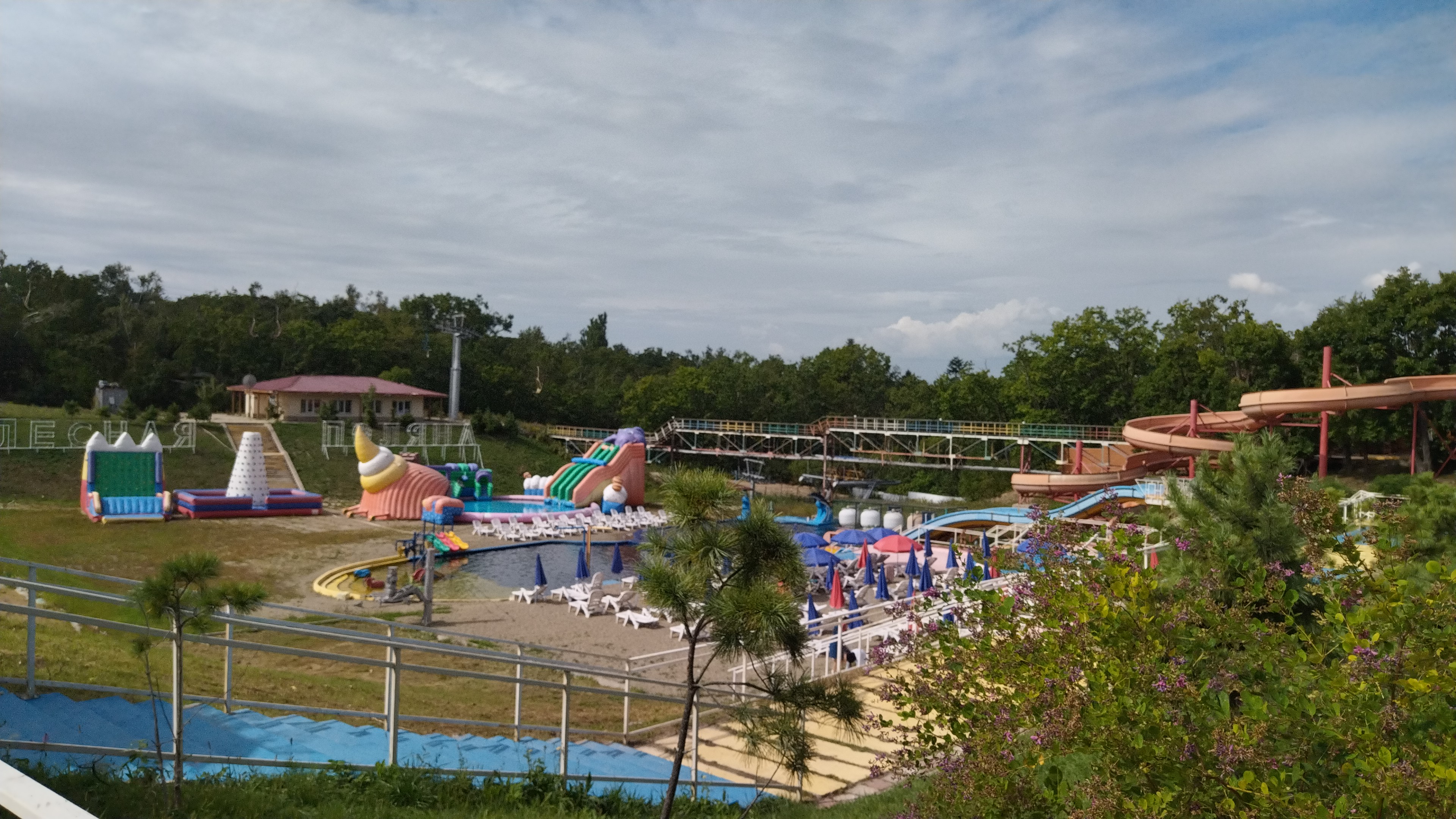 Фото Лесная поляна