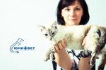 Univet (Komsomolskiy proyezd, 2Б) ، عيادة بيطرية