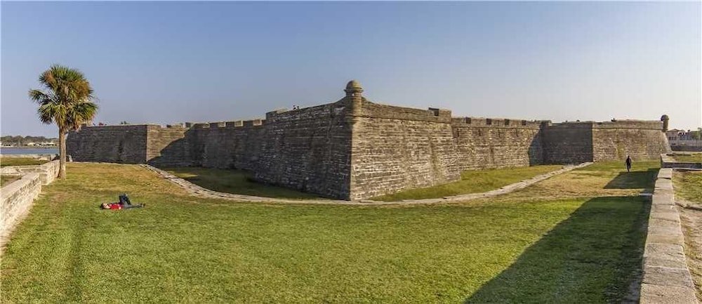 Фото Sea Urchin 39