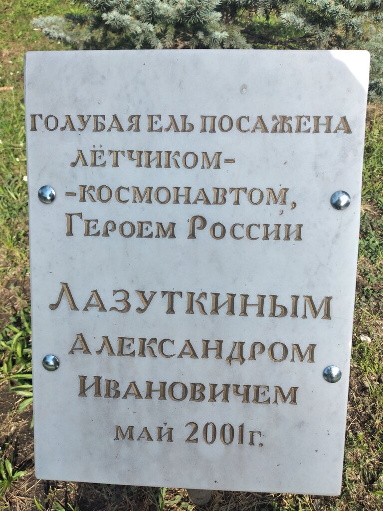 Landmark, attraction Аллея космонавтов, Nalchik, photo
