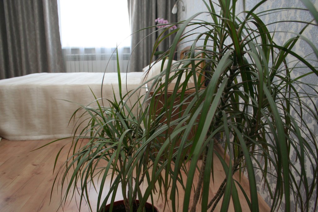 Фото Travel House