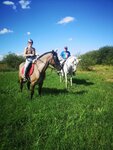 Спирит (ulitsa Pozim, 50), horse riding