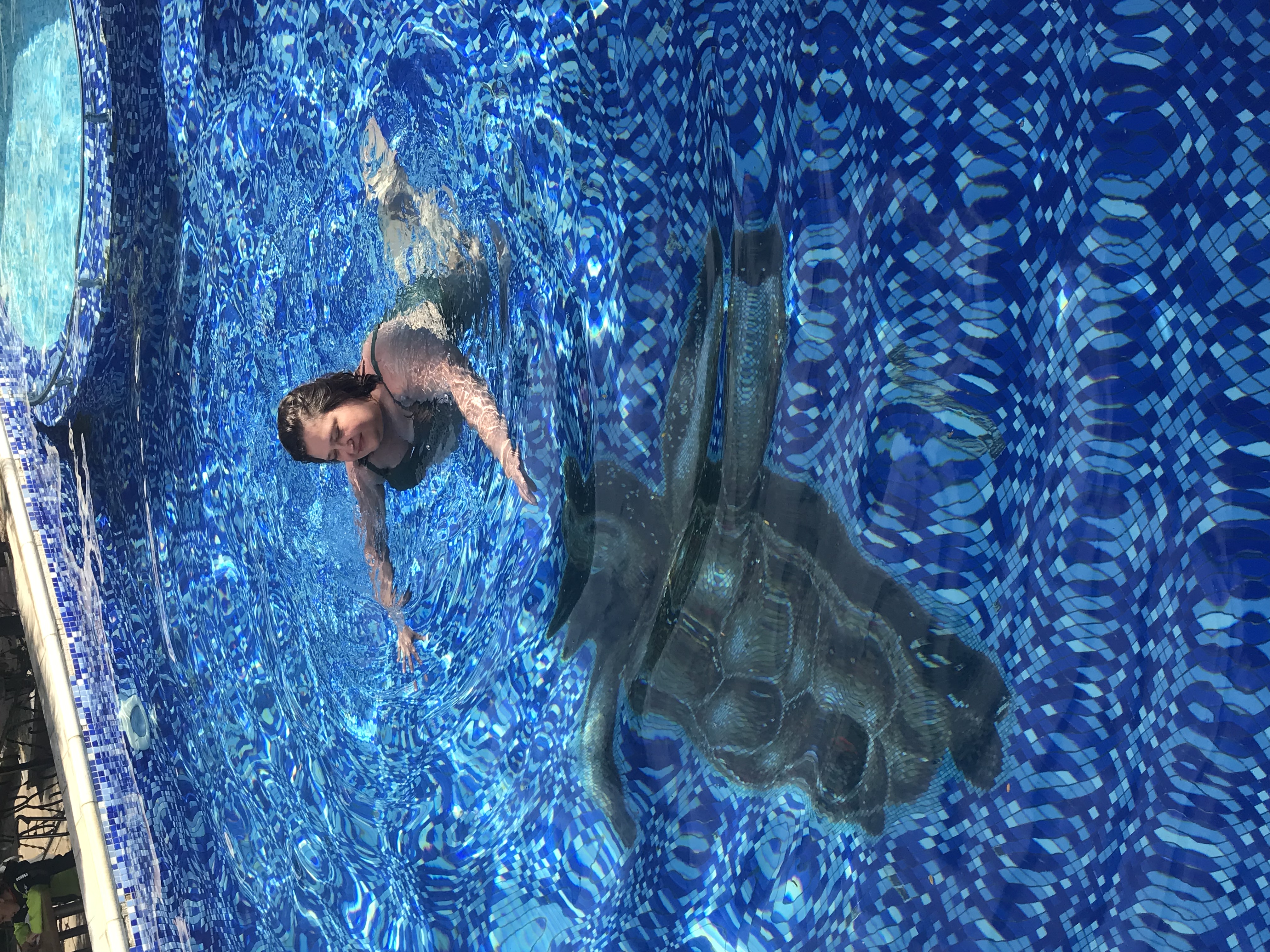 Фото Славия