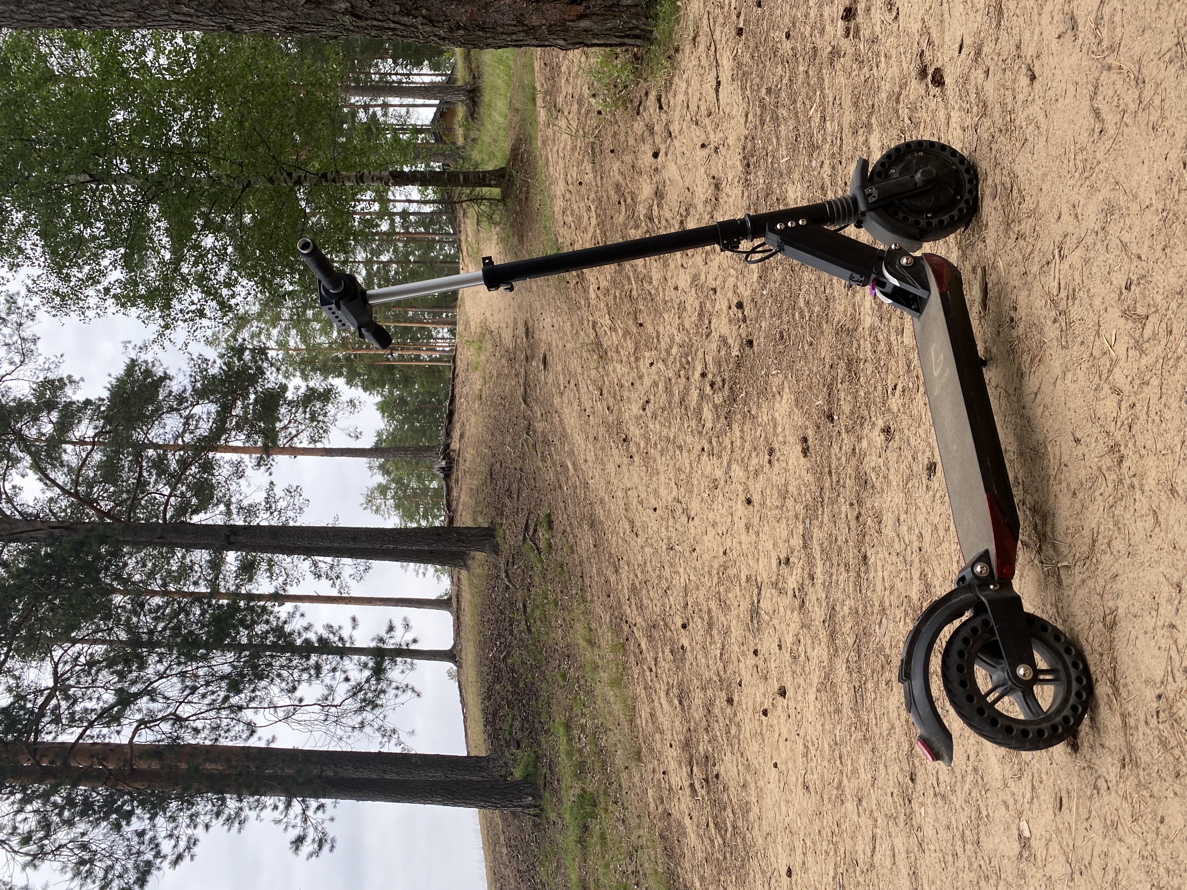 Фото Лесная Рапсодия