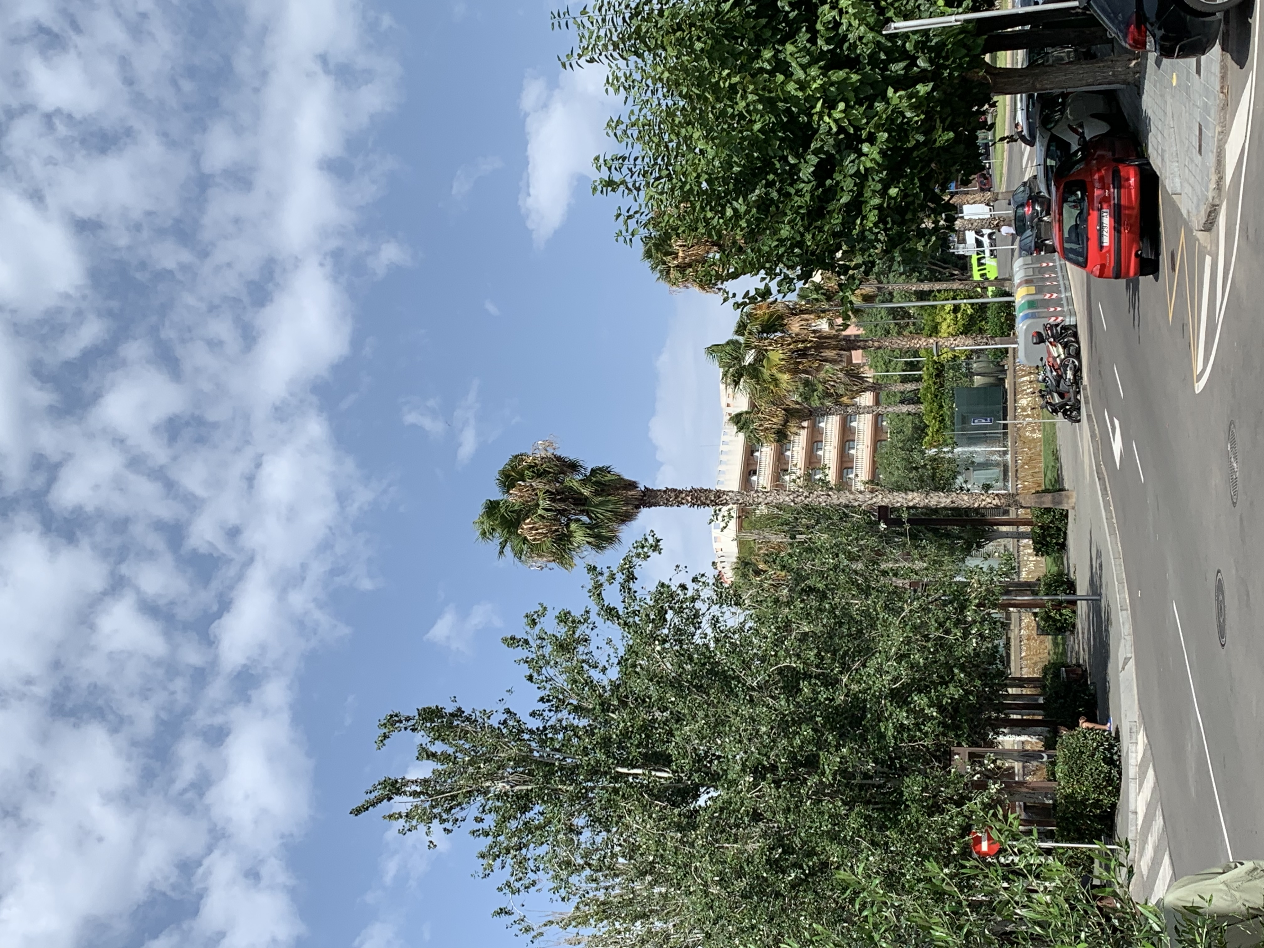 Фото Ponient Dorada Palace