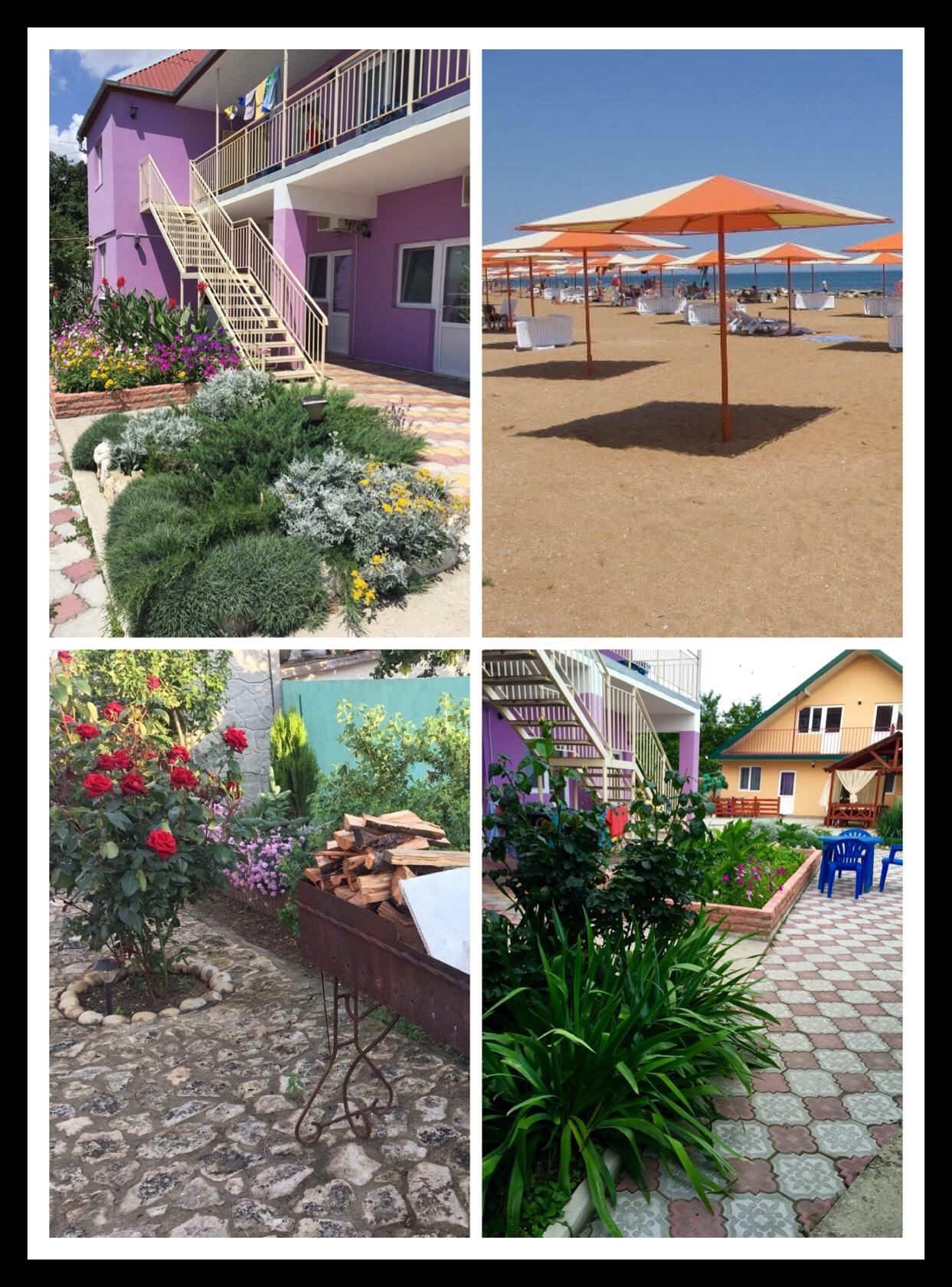 Фото Фортуна