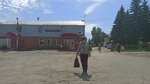 Слава (Chelyabinsk, Individualnaya ulitsa, 87/2), asociaciones y sociedades hortícolas