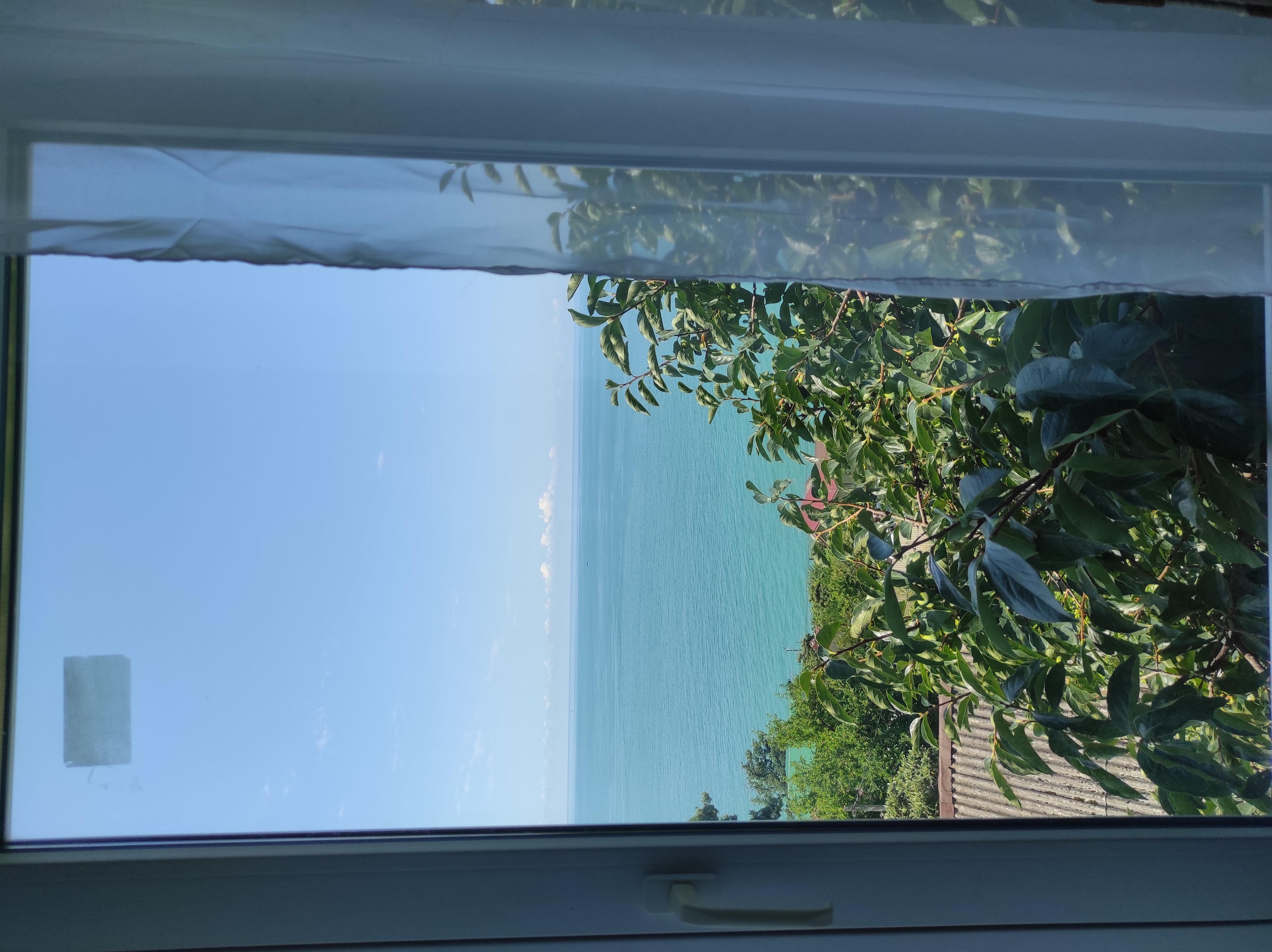 Фото Лазурный