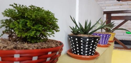 Фото Sahar Backpacker