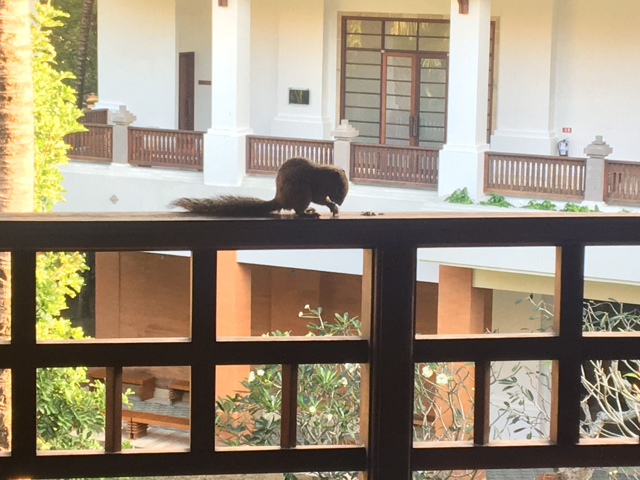 Фото Grand Hyatt Bali