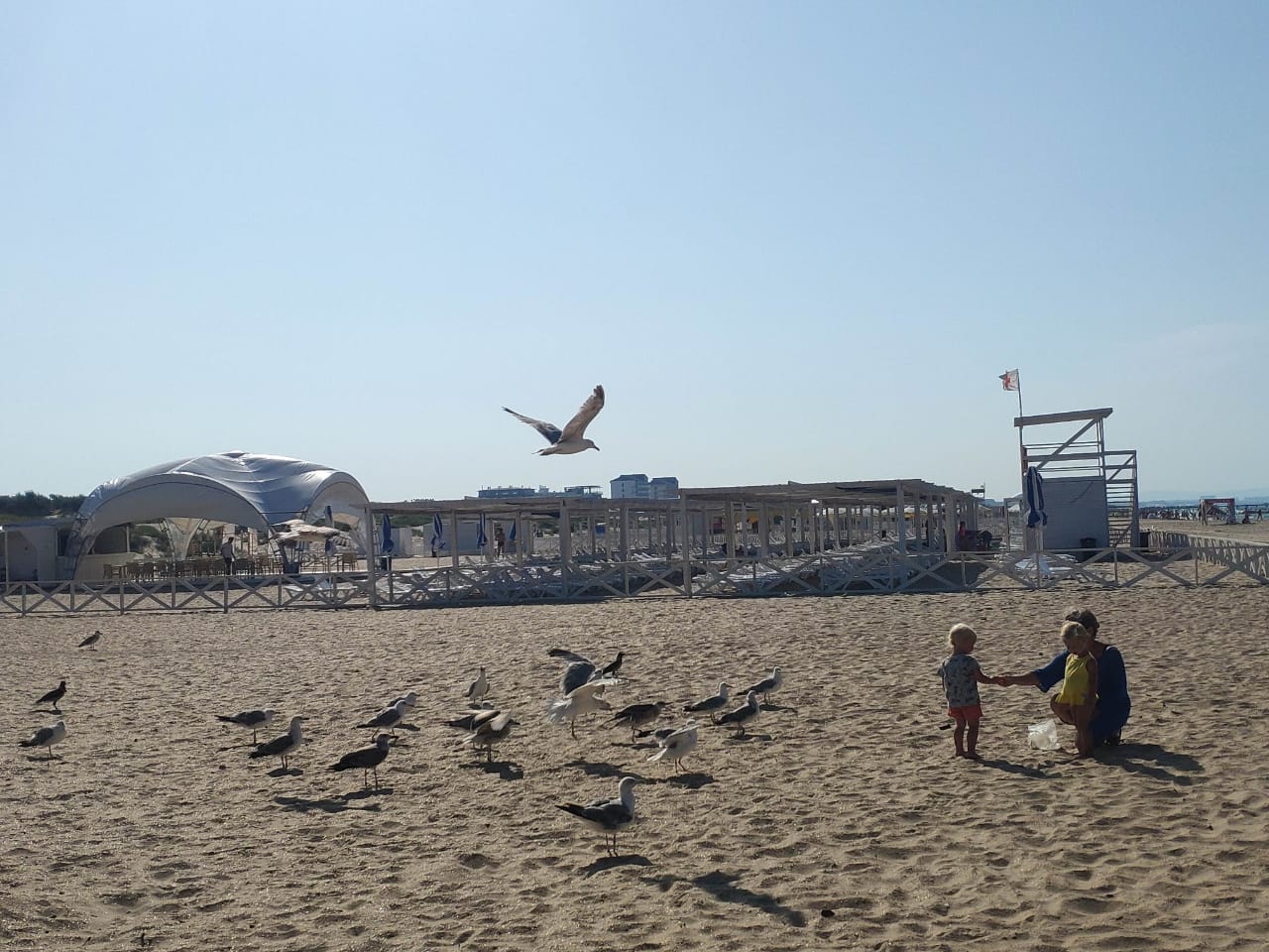 Фото Тортуга