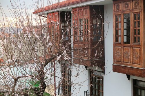 Гостиница Livia Garden Hotel в Сельчуке