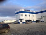 Chistodel (Garnizon Street, 17В), car service, auto repair