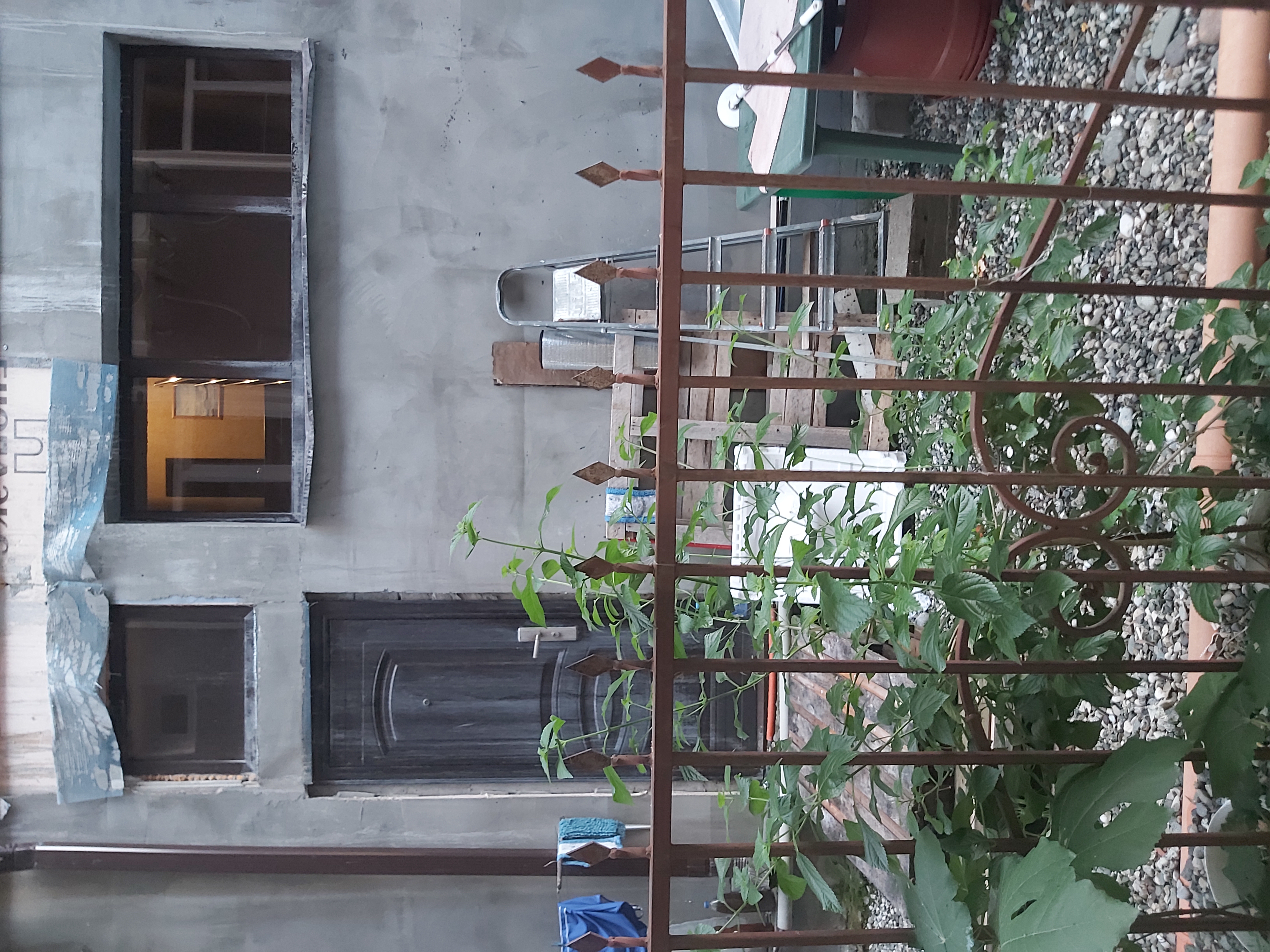 Фото Гагра Лазурная