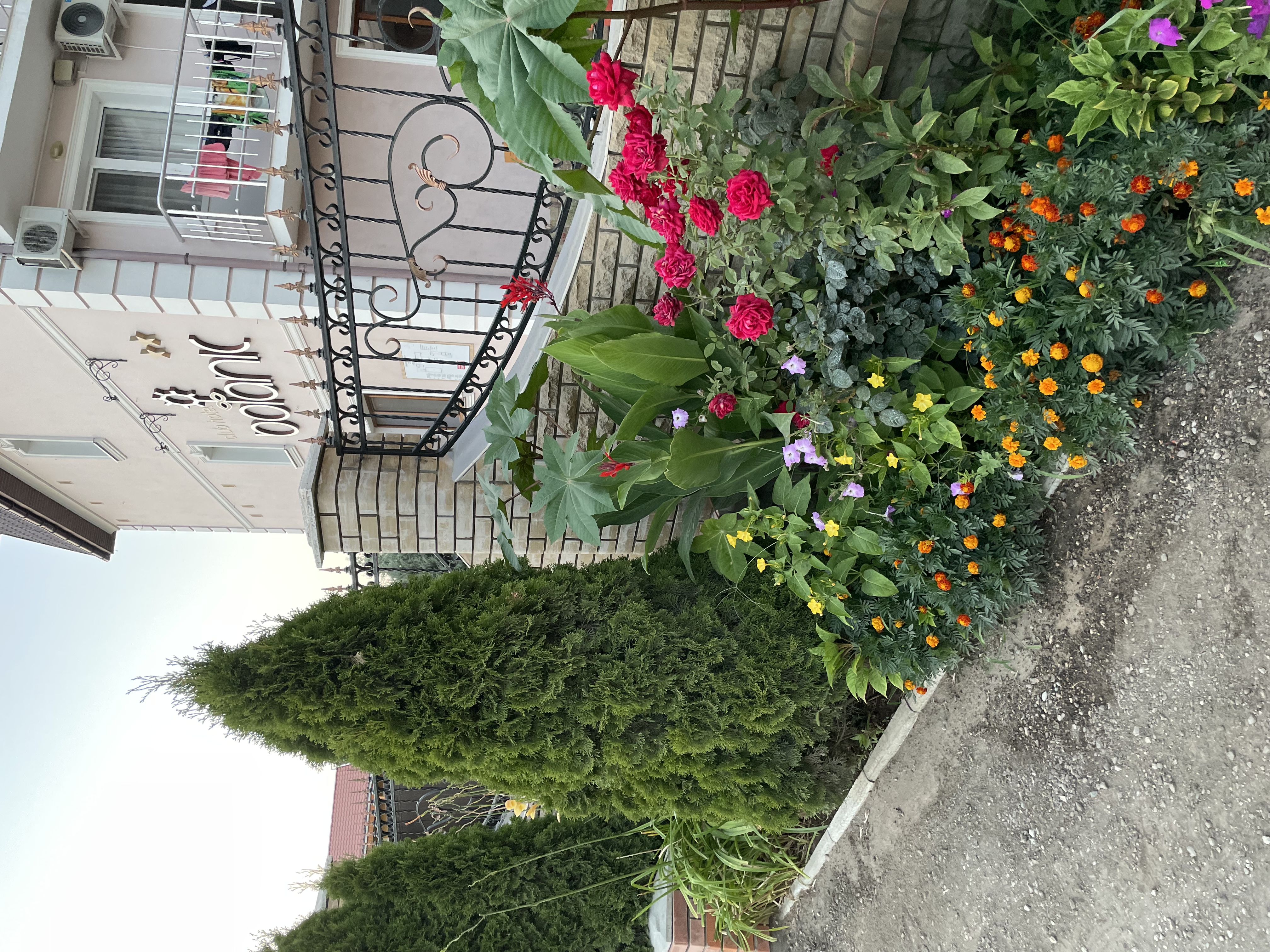 Фото Ботаник