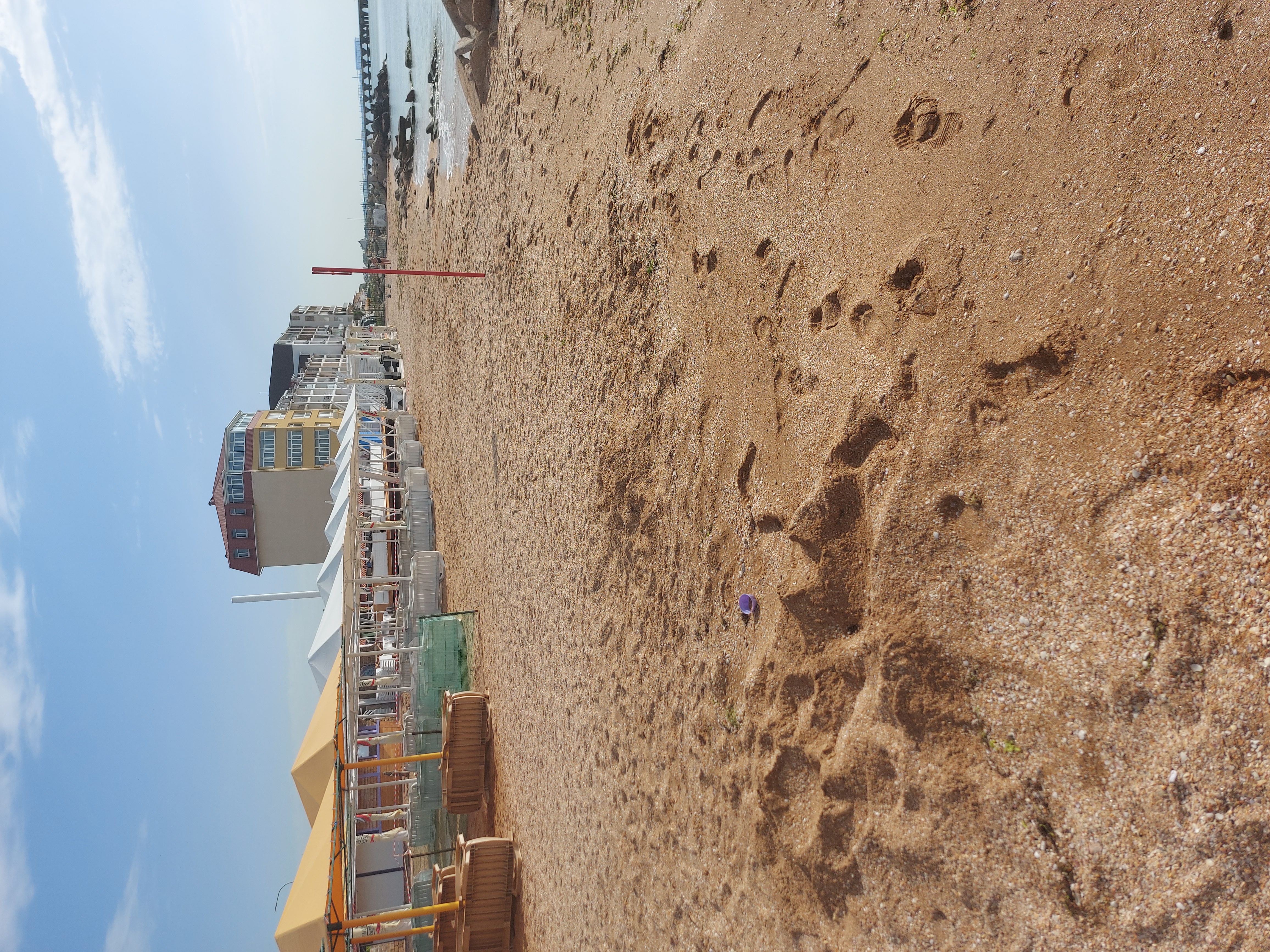 Фото Хороший гость