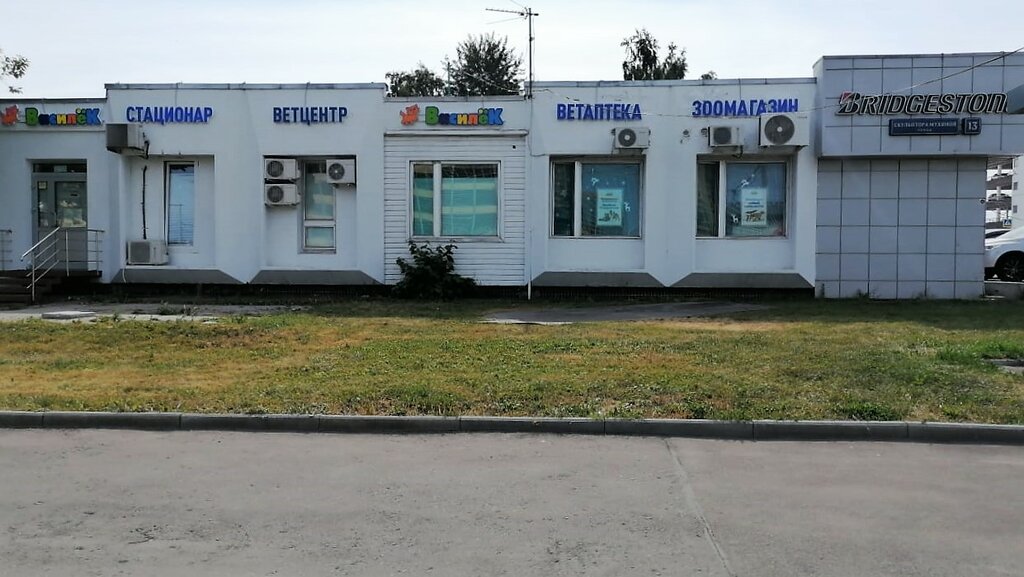 Василек ул скульптора мухиной 13 фото