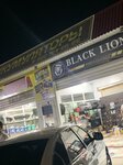 Блек лион (prospekt Lenina, 332Б) ، الشواحن والبطاريات القابلة للشحن