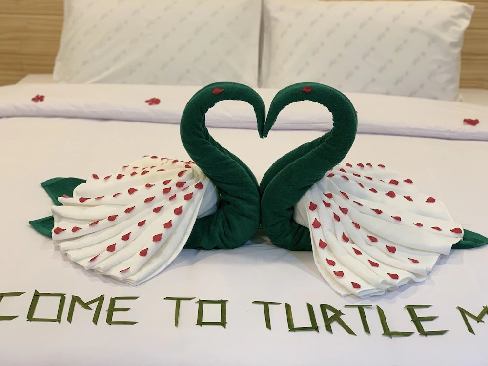 Фото Turtle Maldives