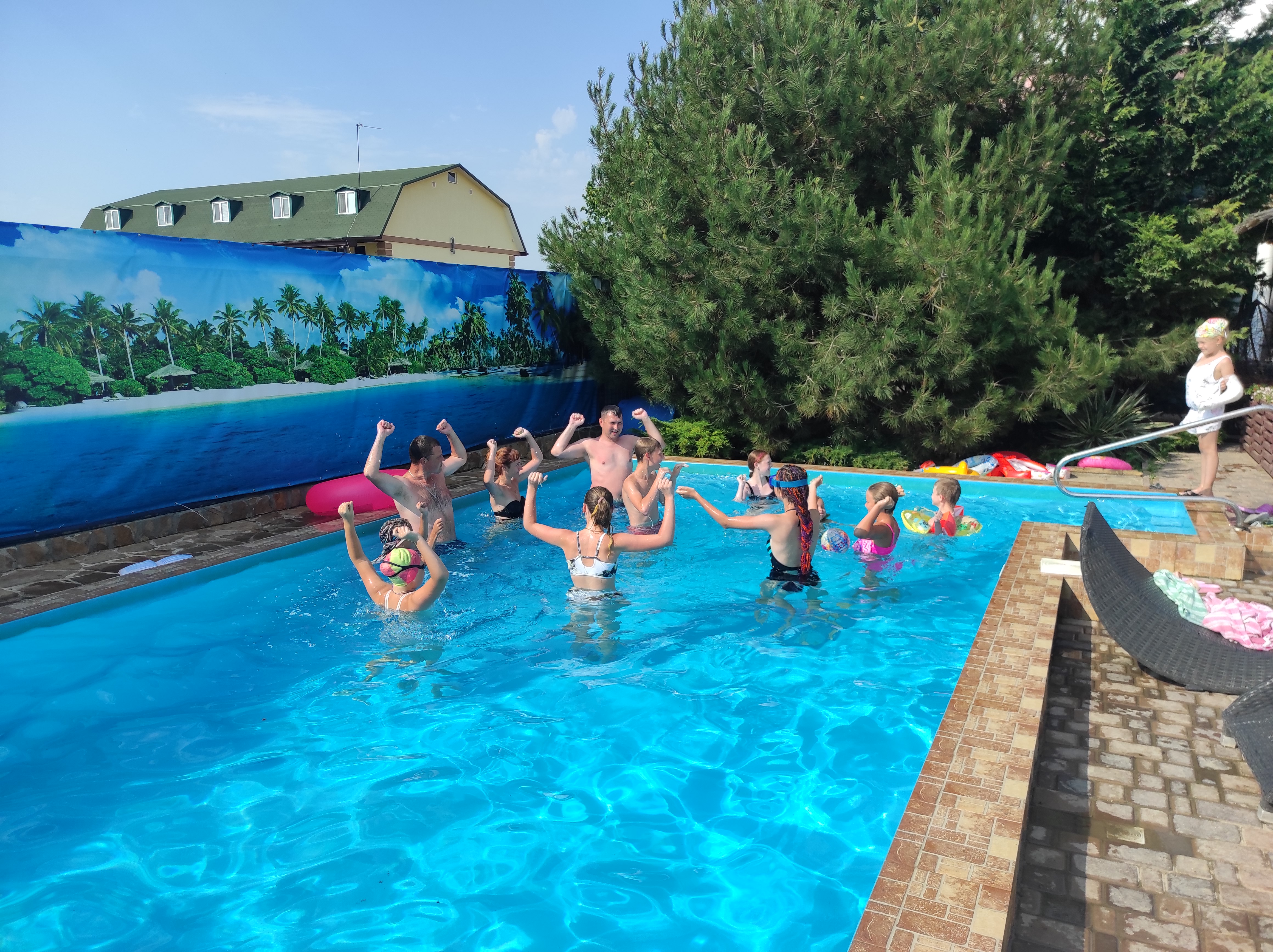 Фото Муравейник