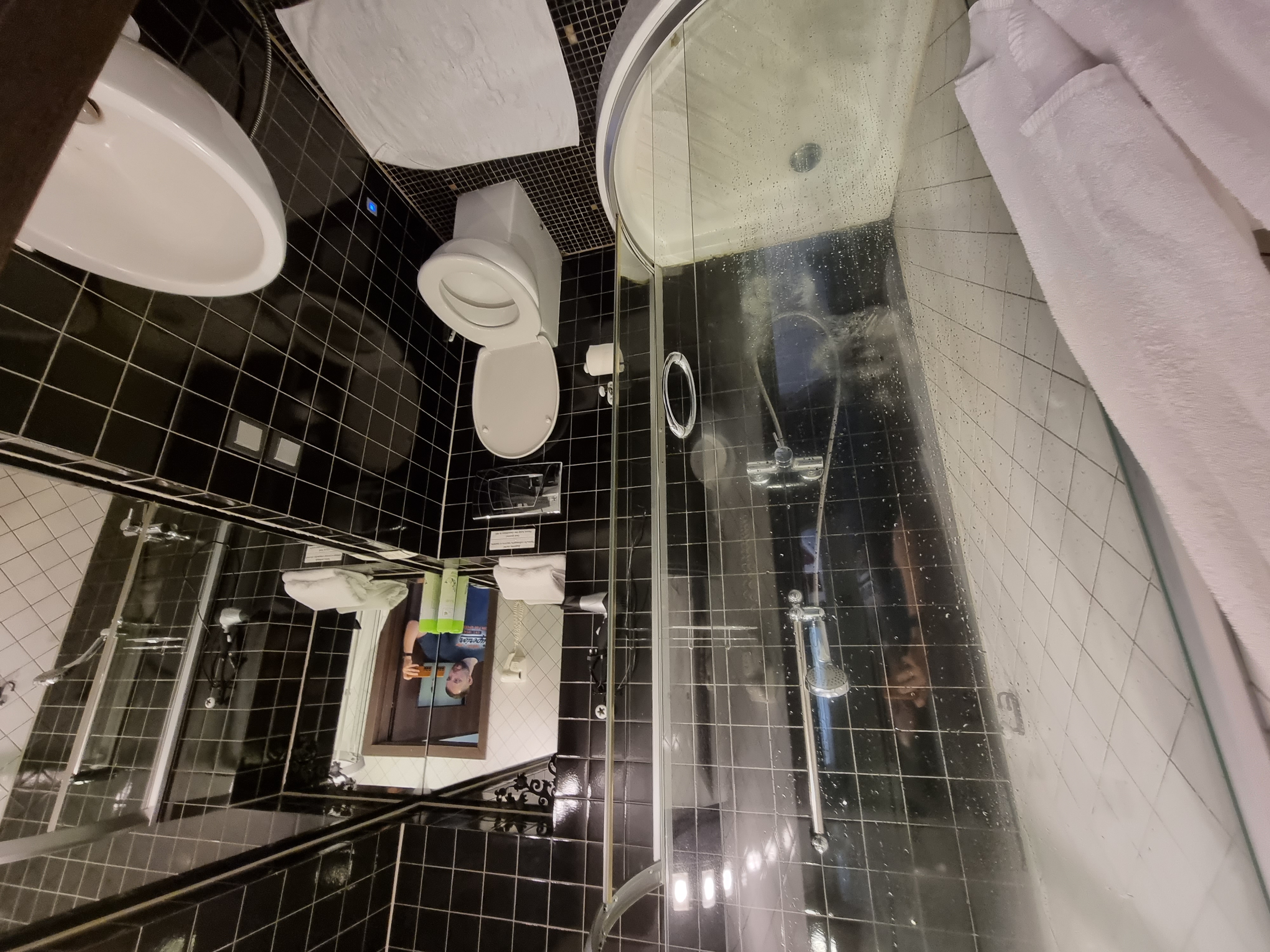 Фото Летучая мышь