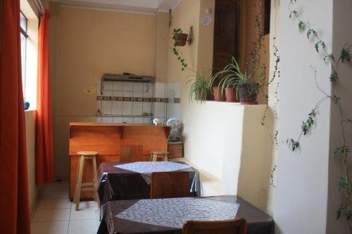 Фото Big Vacation Hostel