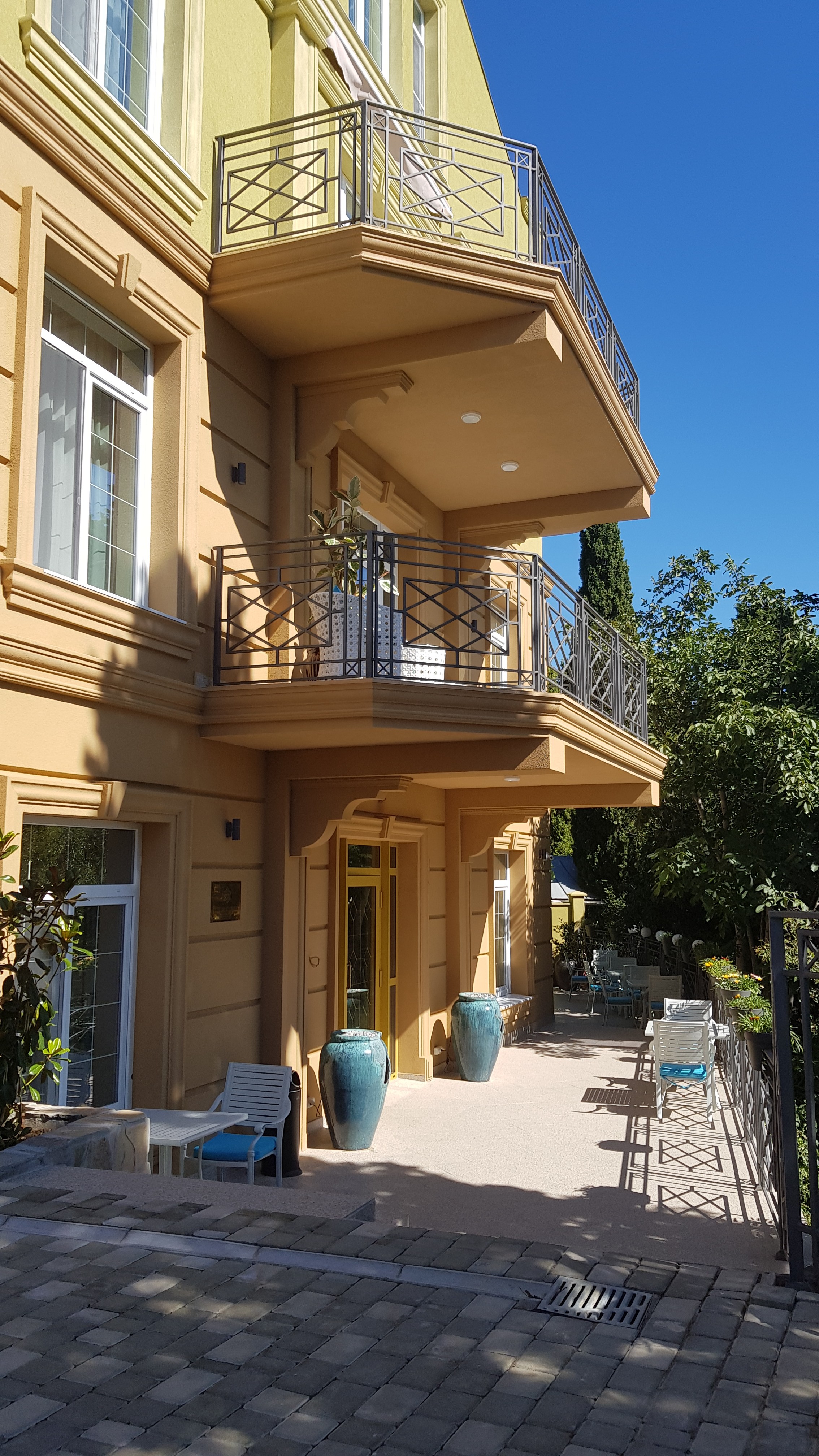 Фото Камелия