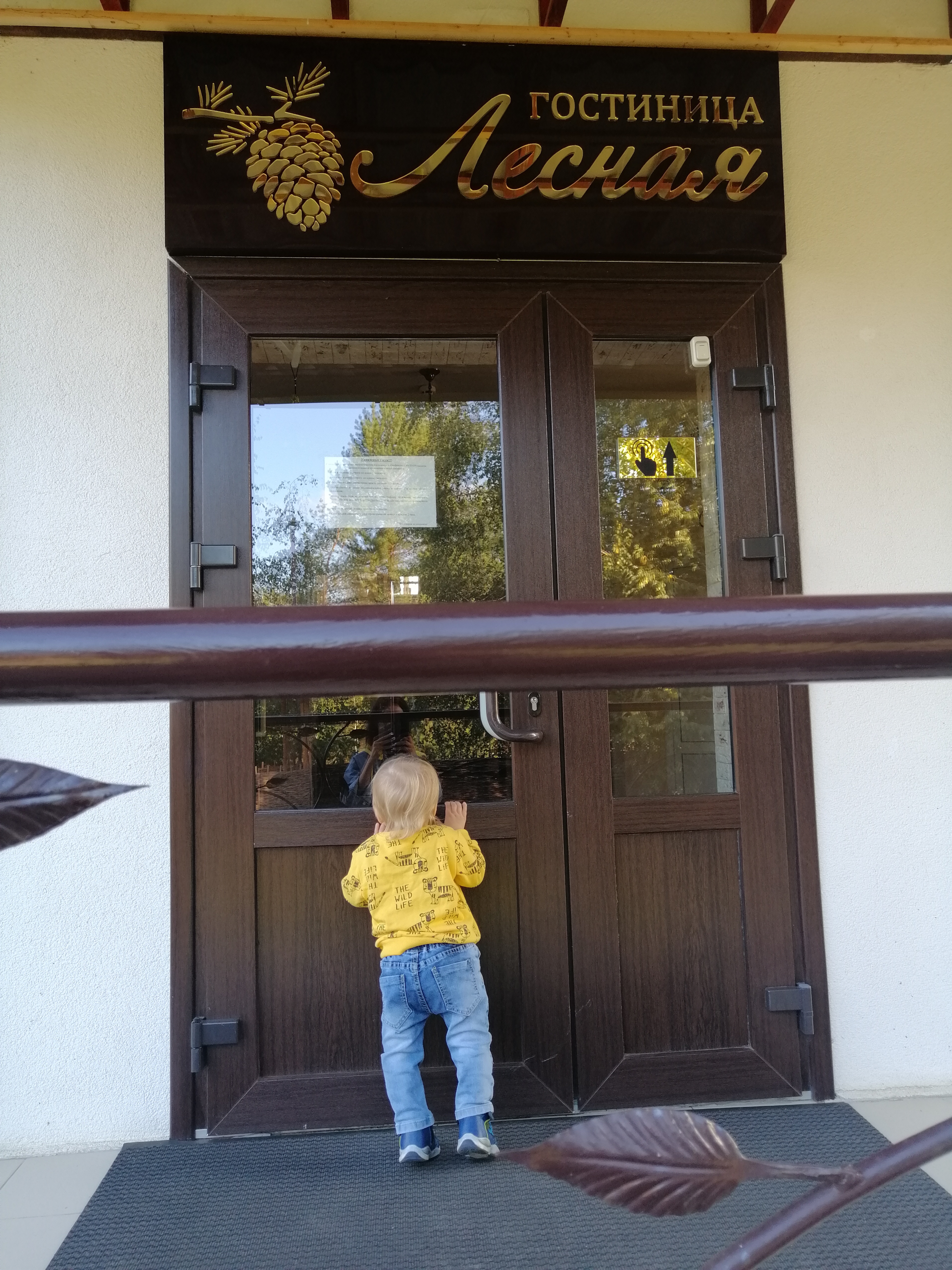 Фото Лесная