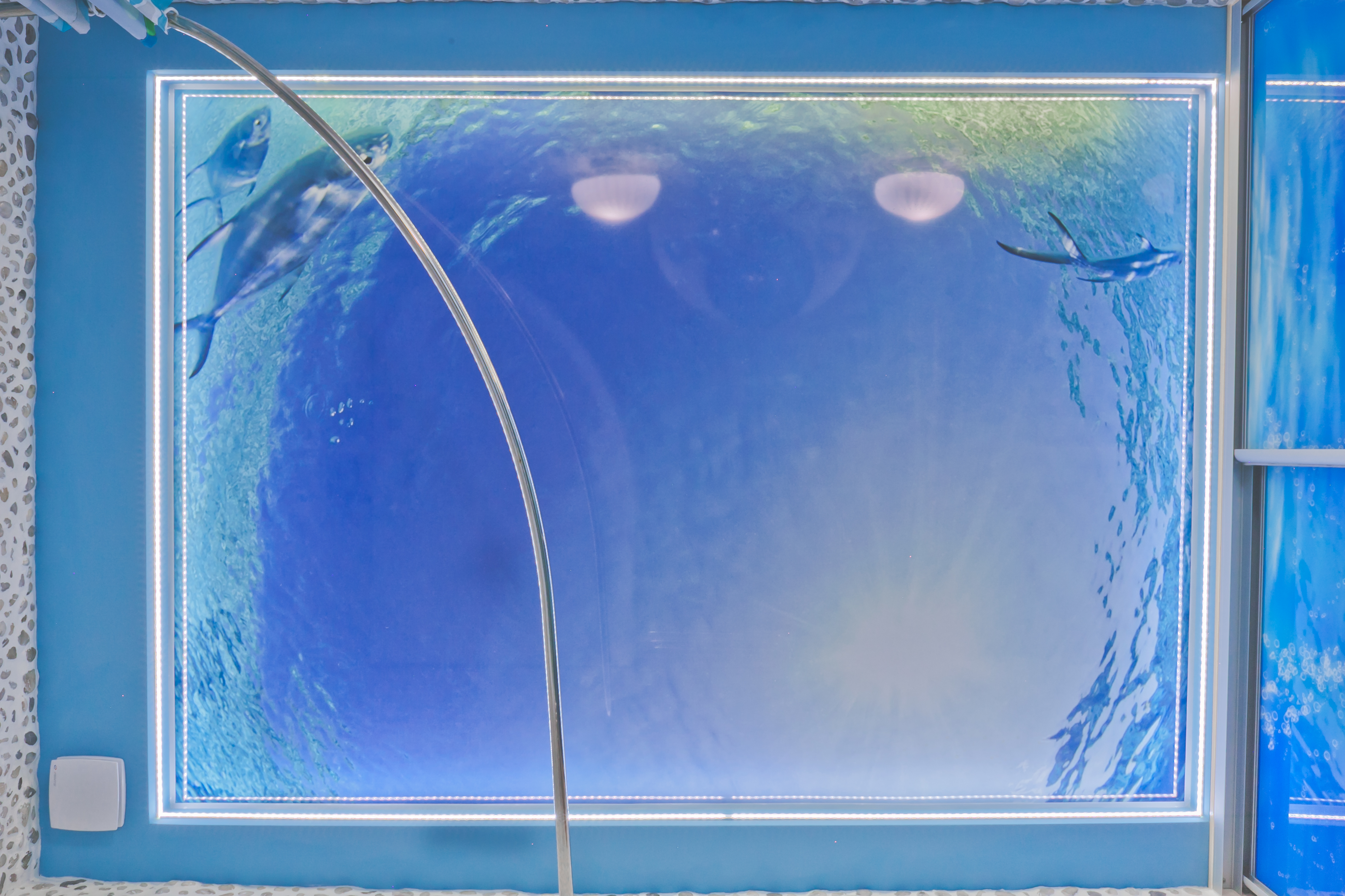 Фото Дом Ленивый Дельфин