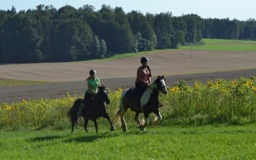 Reiten