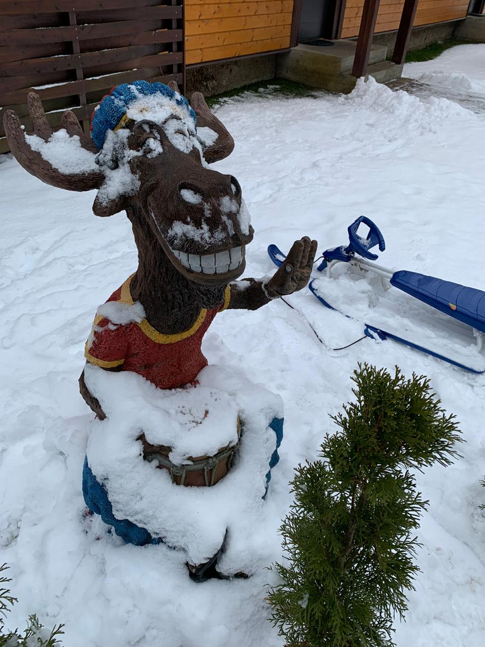 Фото Лесные поляны