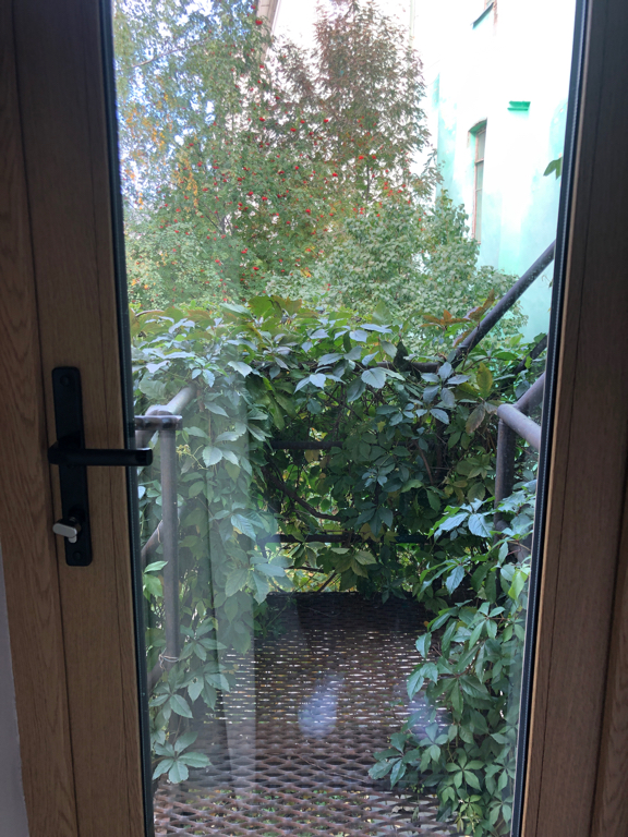 Фото The Faces Moyka