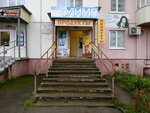 Univermag (Tsimlyanskaya Street, 23) ، محل بقالة