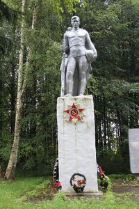 Воину-освободителю (Smolensk Region, Demidovskiy munitsipalny okrug, derevnya Verkhniye Mokhovichi), monument, memorial