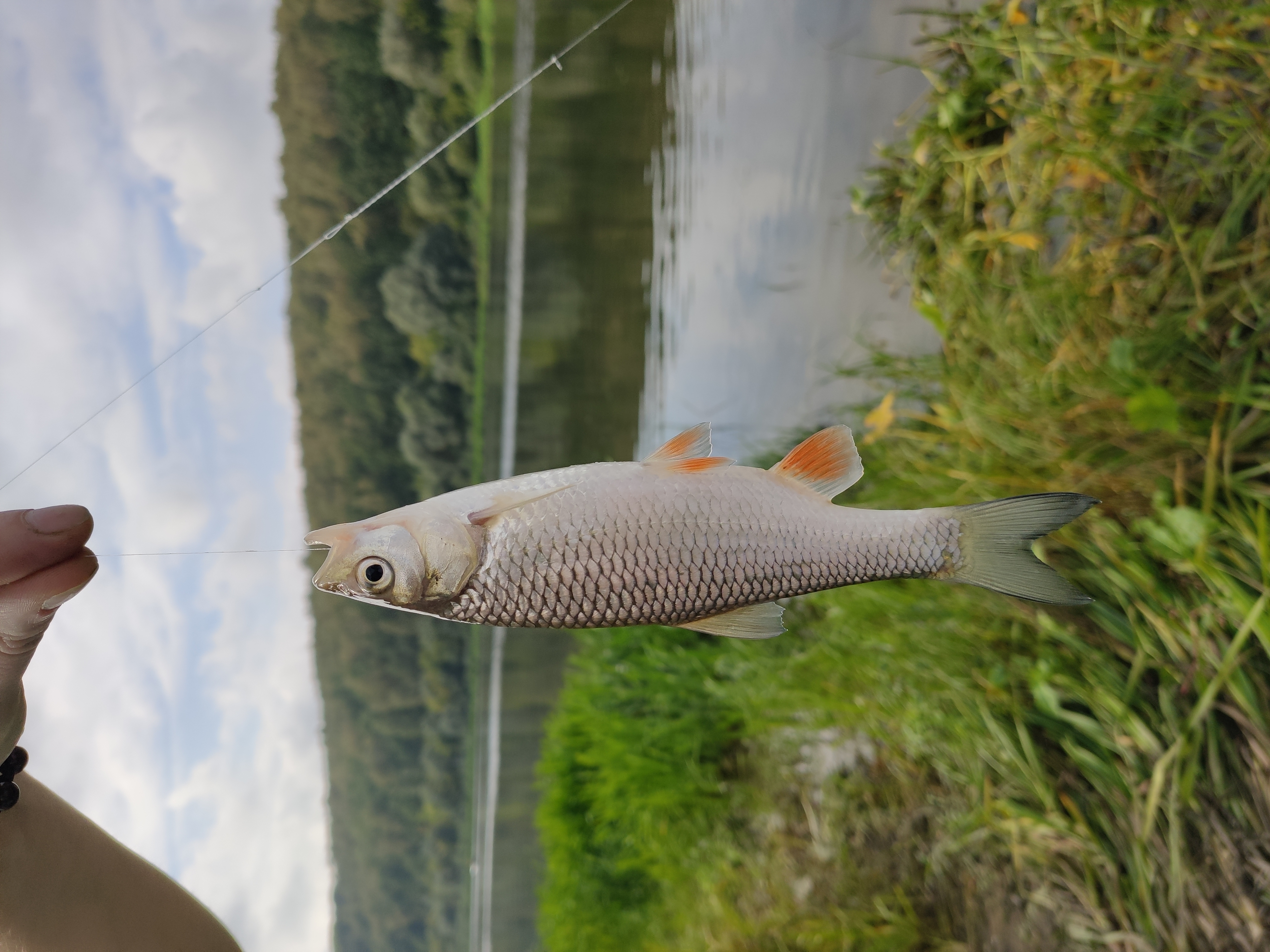 Фото Премьера