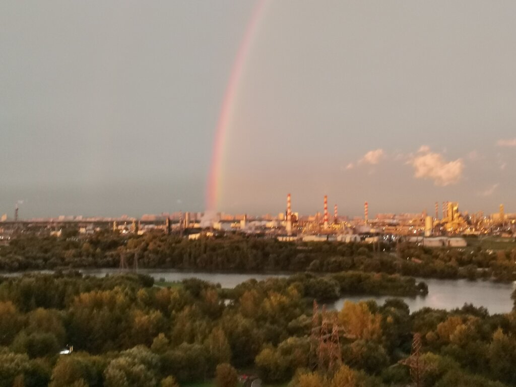 Kültür ve eğlence parkları Братеевская пойма, Moskova, foto