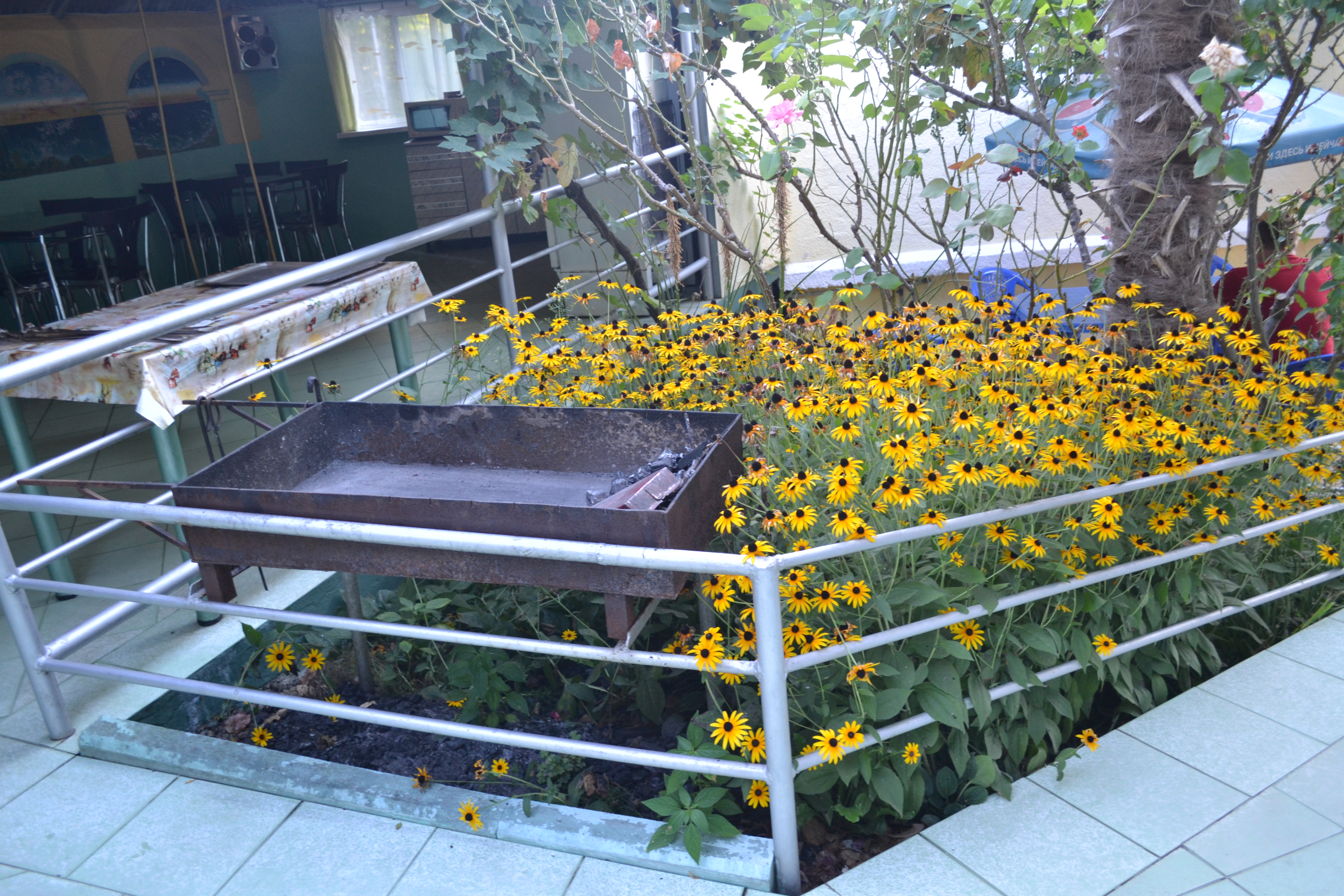 Фото Гостевой Дом Лазурный Берег