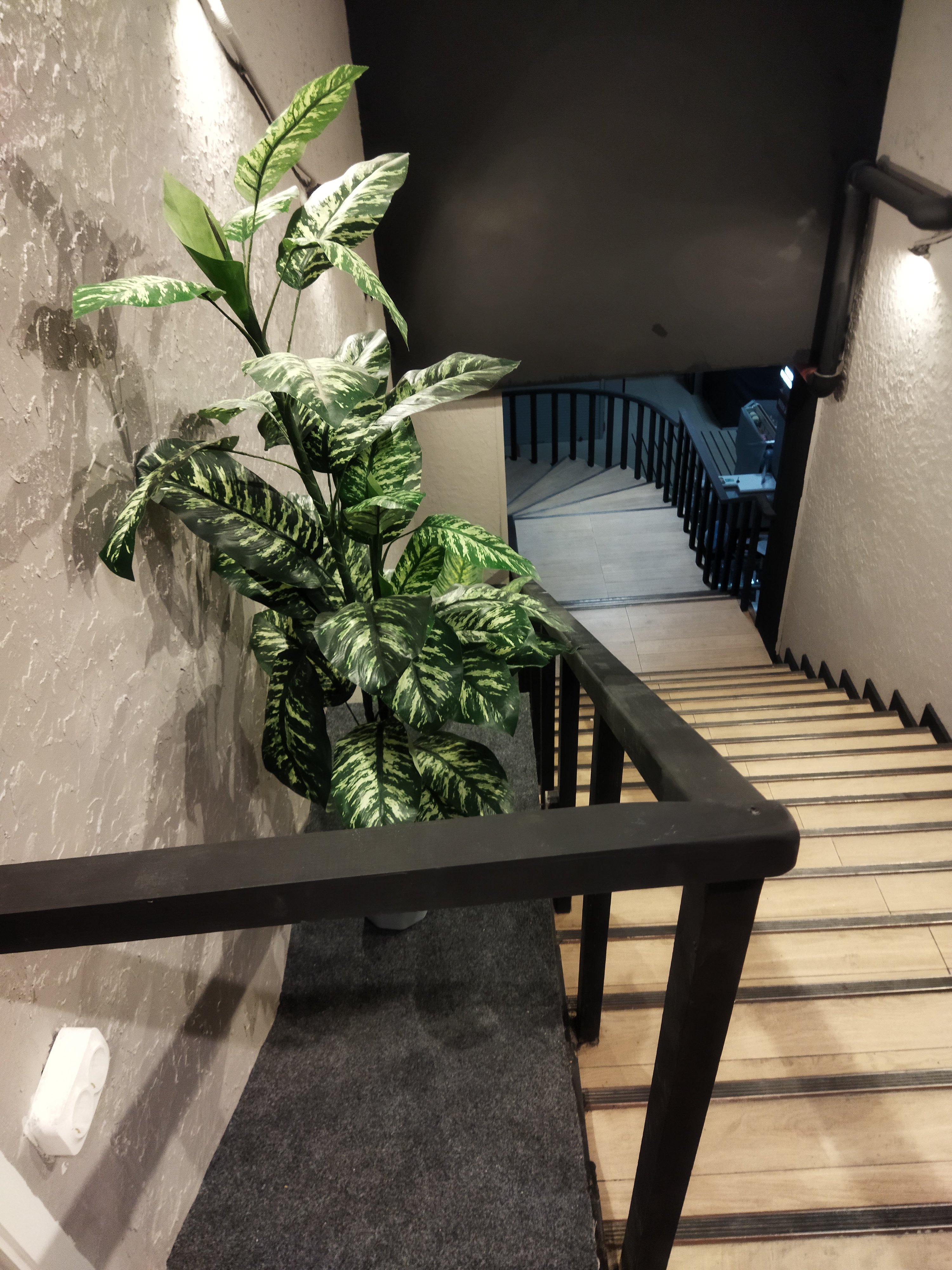 Фото Shelterz Тульская