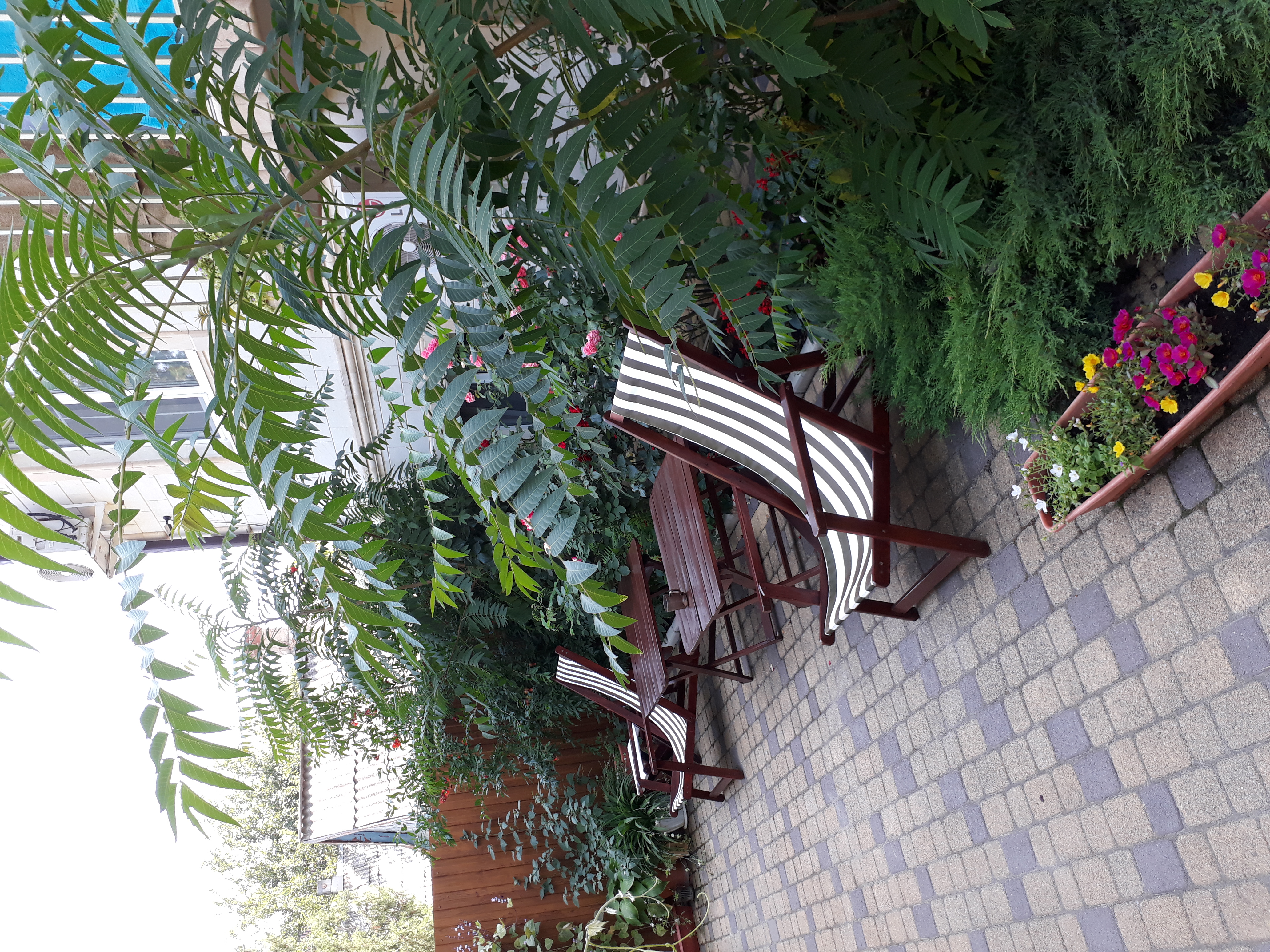 Фото Премьер