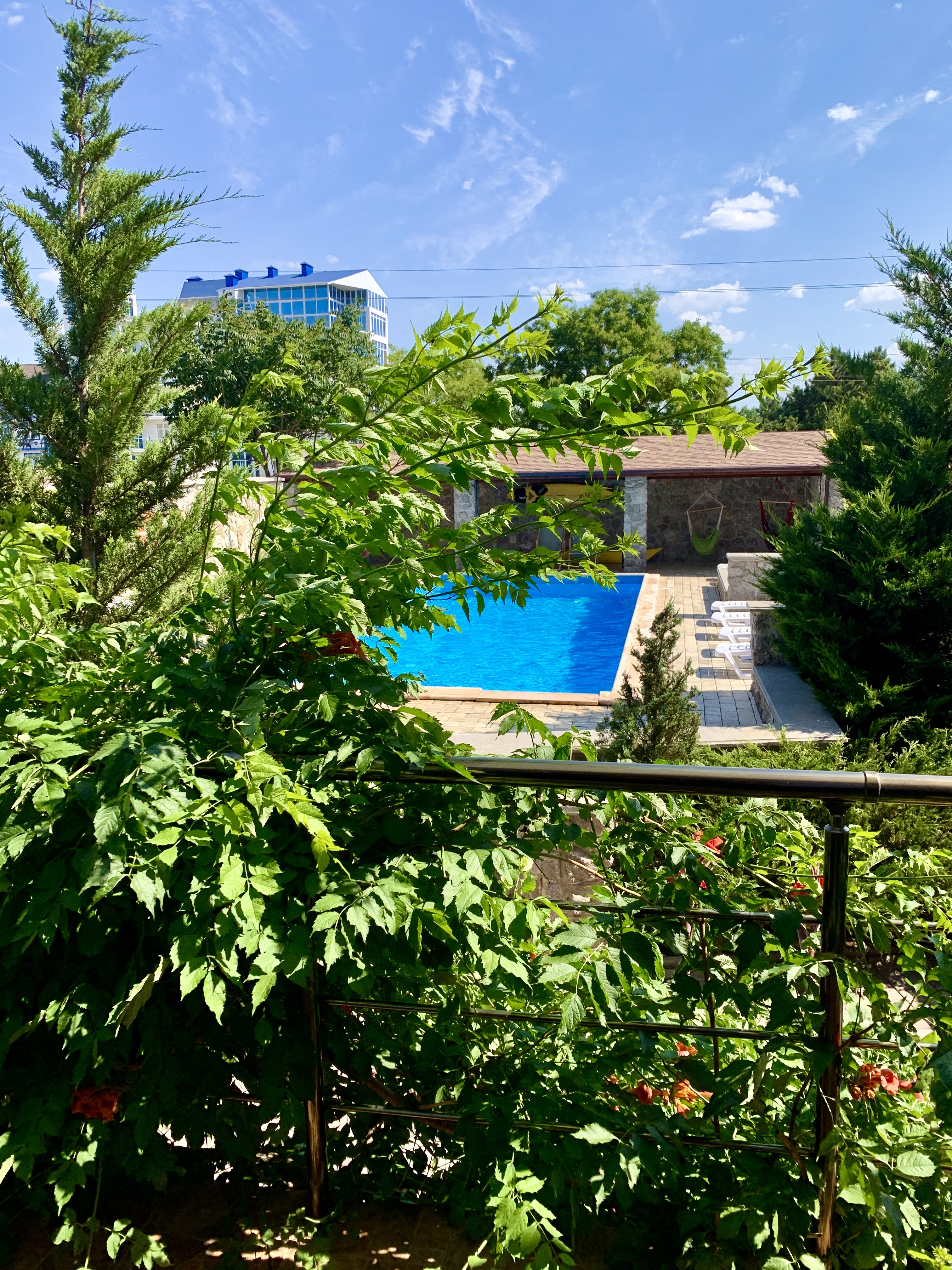 Фото Амазонка